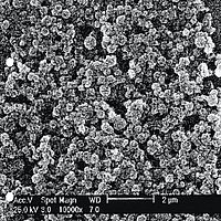 Ujęcie skaningowym mikroskopem elektronowym warstwy A zeolitu na folii aluminiowej. Wyraźnie widoczne są kuliste cząstki zeolitu A o rozmiarach w zakresie nanometrów.